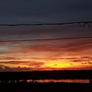 Meet your Posher, Wayne